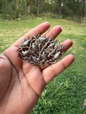 JJ Jonette Silver Birds In A Tree Brooch/Pin